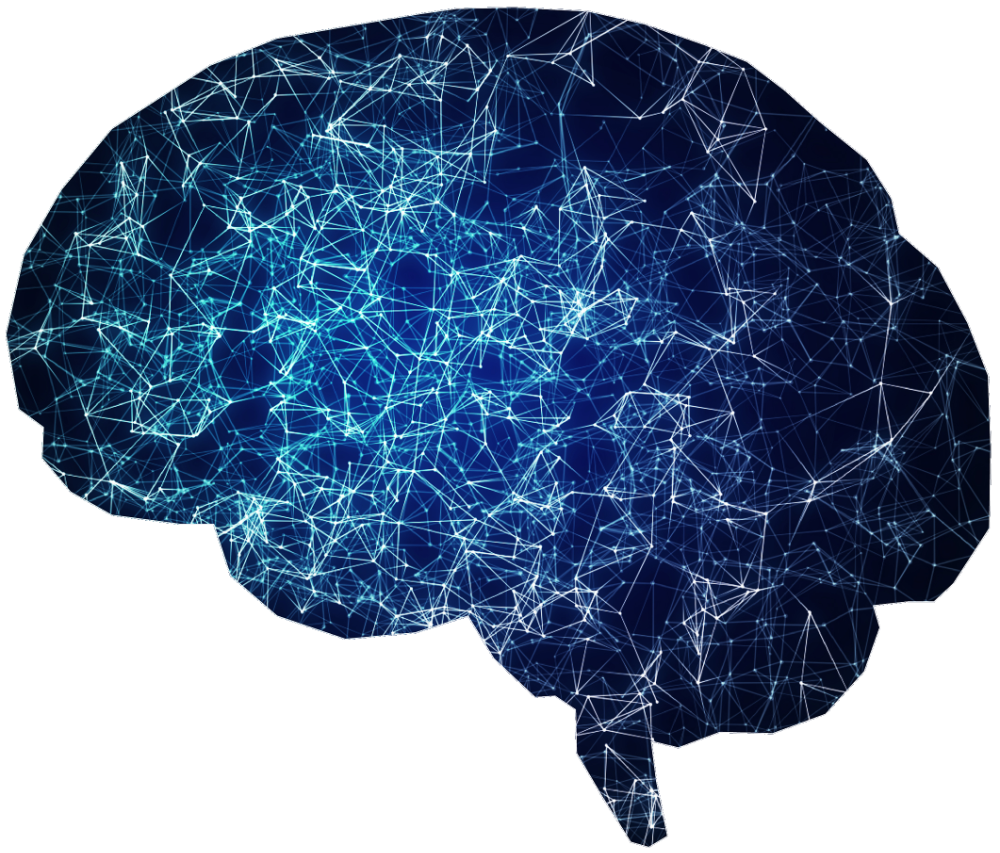 Brain illustrating interconnected neurons.